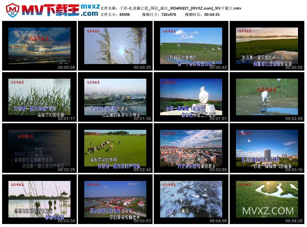 于洋-扎龙湖之恋_国语_流行_MD400221